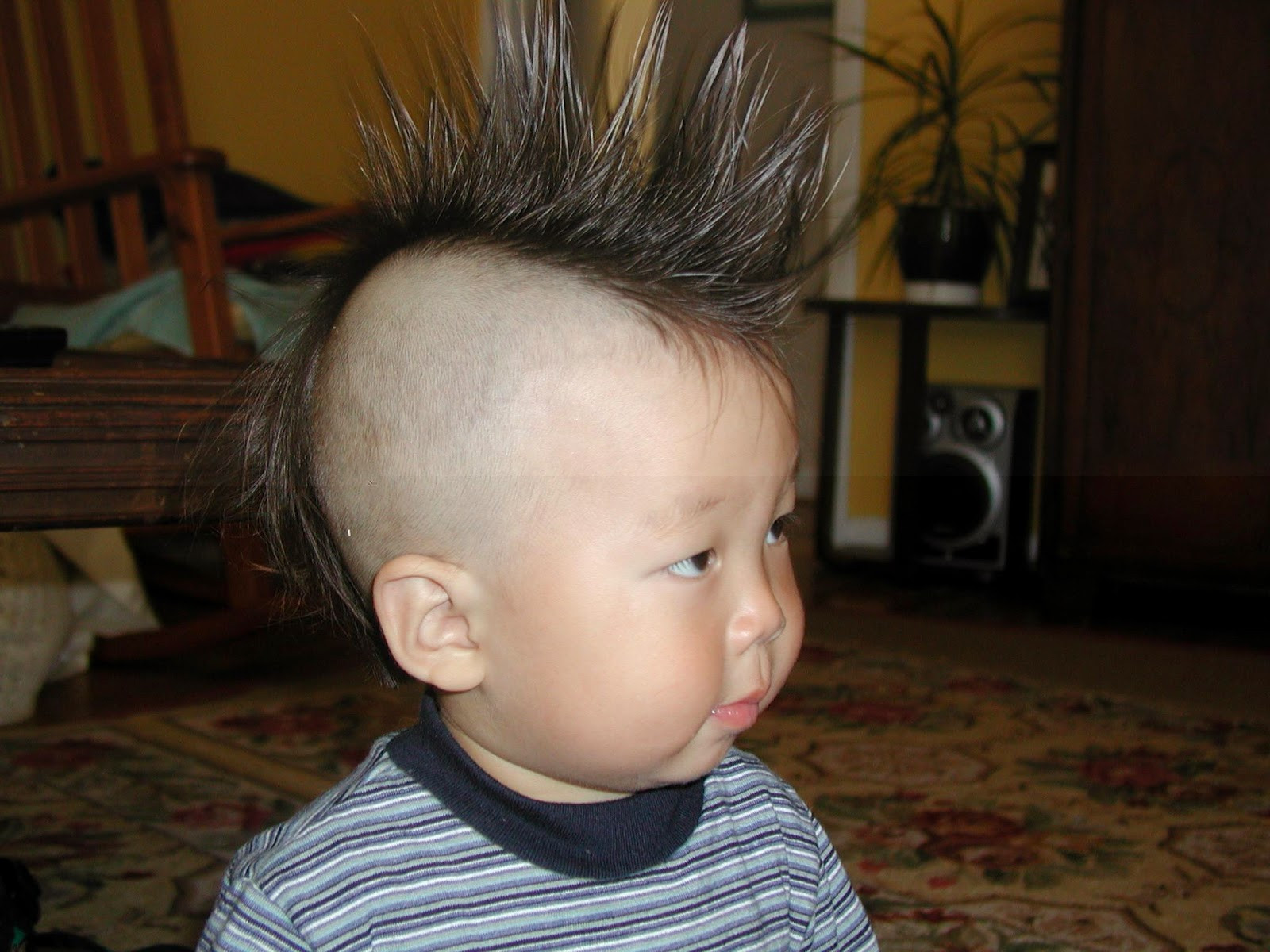 Cool Hairstyles For Kid Boys
 Kids Hairstyle Amazing & Trendy Hairstyles for Boys