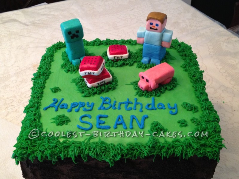 Coolest-birthday-cakes.com
 Minecraft Birthday Cakes 2015 House Style