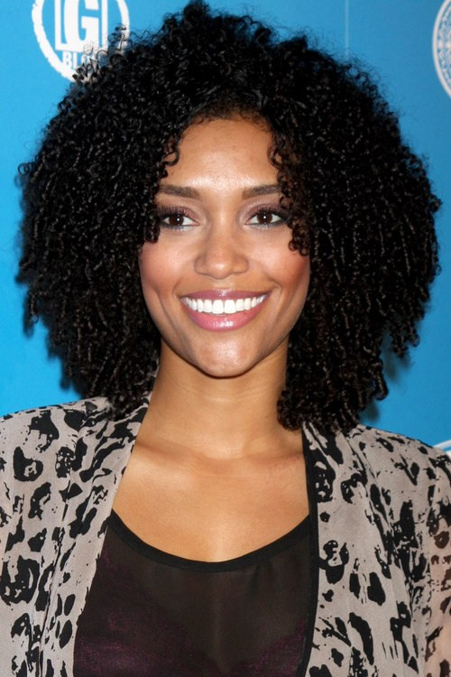 Curly Hairstyles For Black Women
 30 Picture Perfect Black Curly Hairstyles