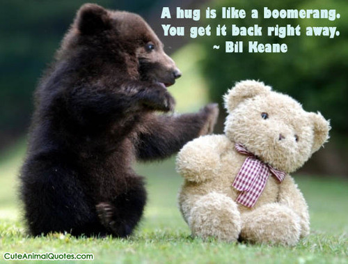 Cute Baby Animals With Quotes
 Baby Animal Quotes QuotesGram