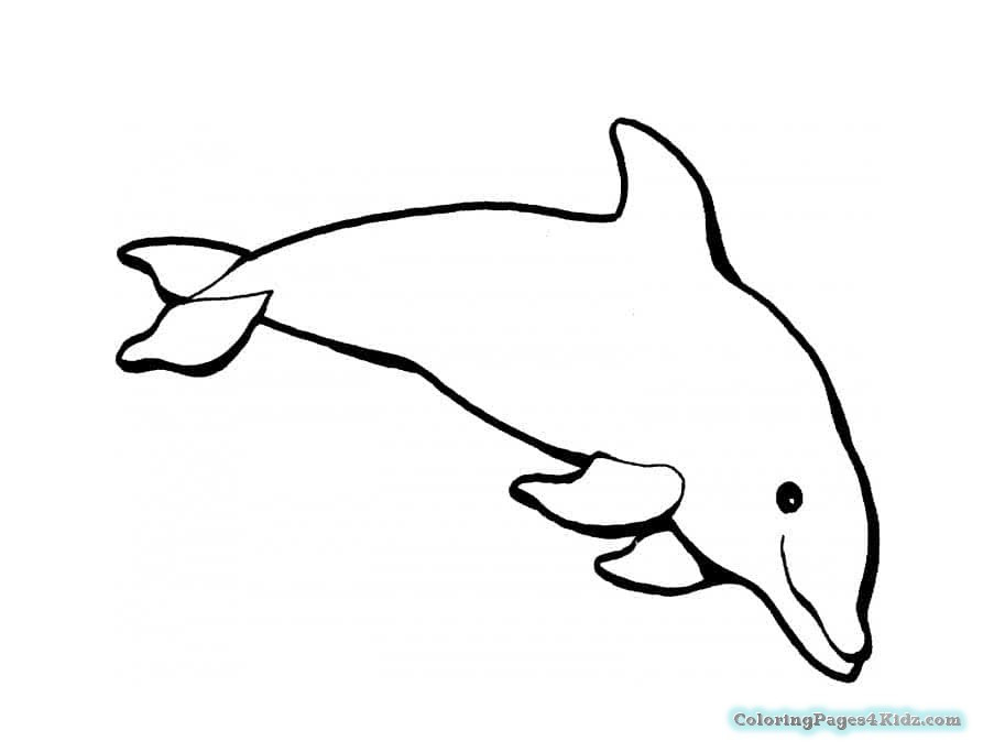 Cute Baby Dolphin Coloring Pages
 Cute Baby Dolphin Coloring Pages