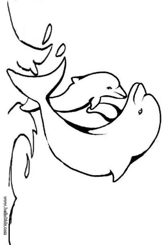 Cute Baby Dolphin Coloring Pages
 Baby dolphin coloring pages Hellokids