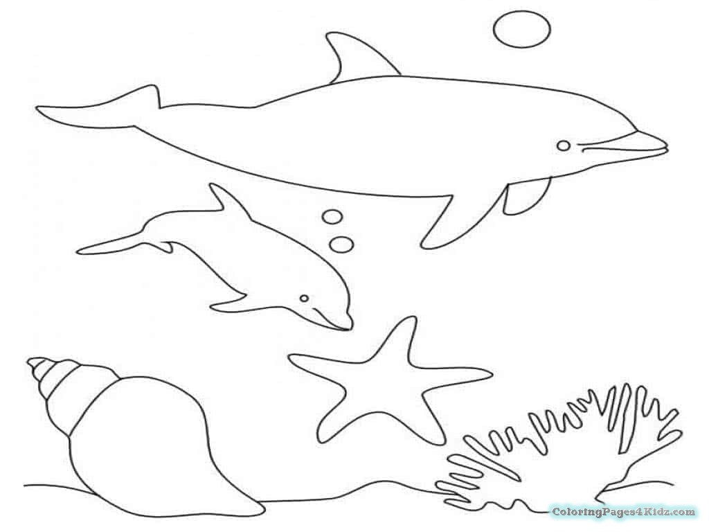 Cute Baby Dolphin Coloring Pages
 Cute Baby Dolphin Coloring Pages
