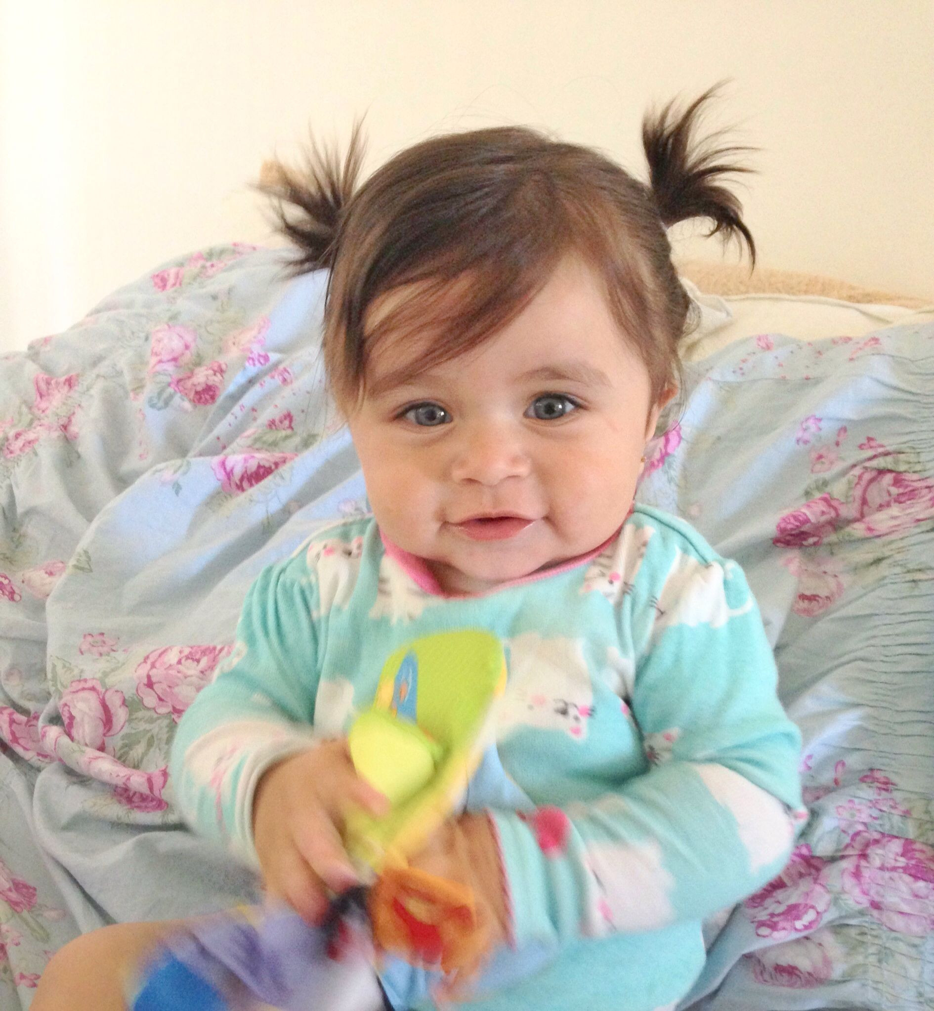 Cute Baby Hairstyles
 Baby girl hair dos ponytails cute