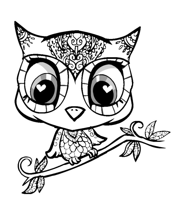 Cute Baby Owl Coloring Pages
 Cute Baby Owl Coloring Pages