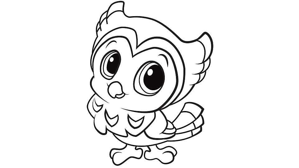 Cute Baby Owl Coloring Pages
 Learning Friends Owl coloring printable