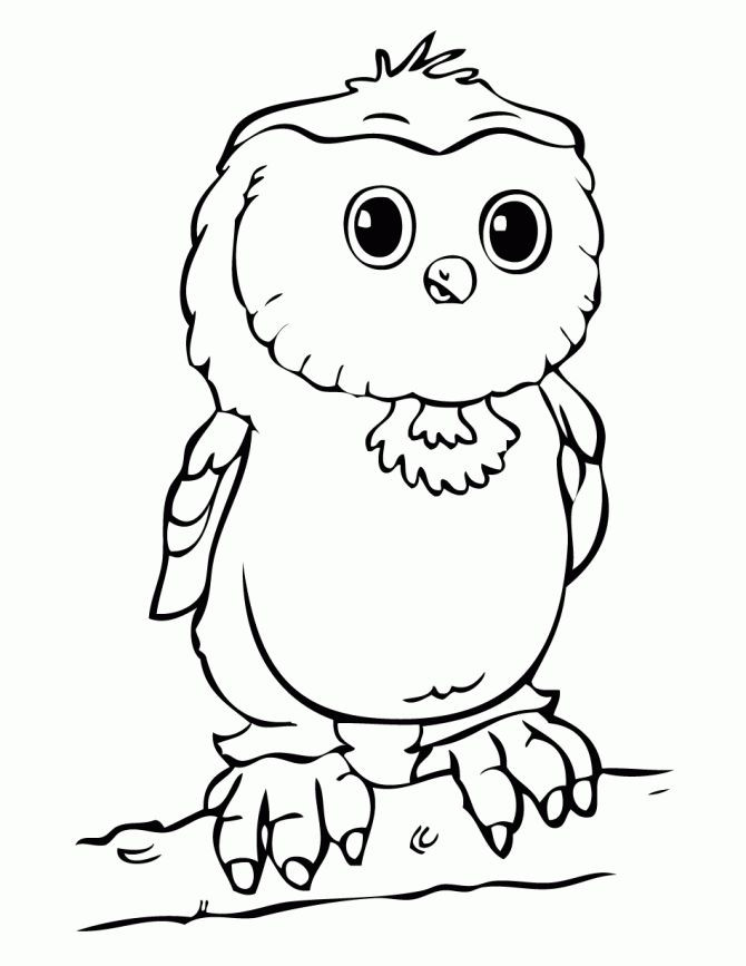 Cute Baby Owl Coloring Pages
 61 best Owl Coloring Pages images on Pinterest