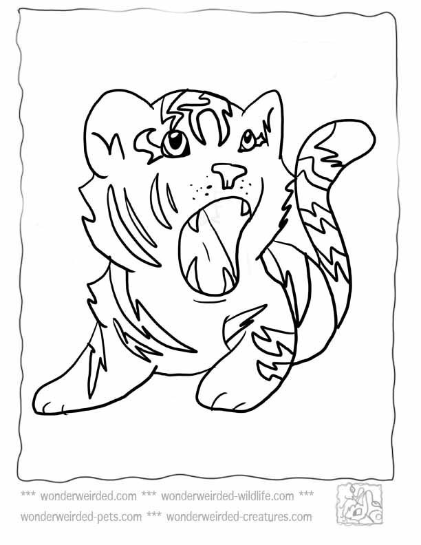Cute Baby Tiger Coloring Pages
 Baby Tiger Coloring Pages at wildlife