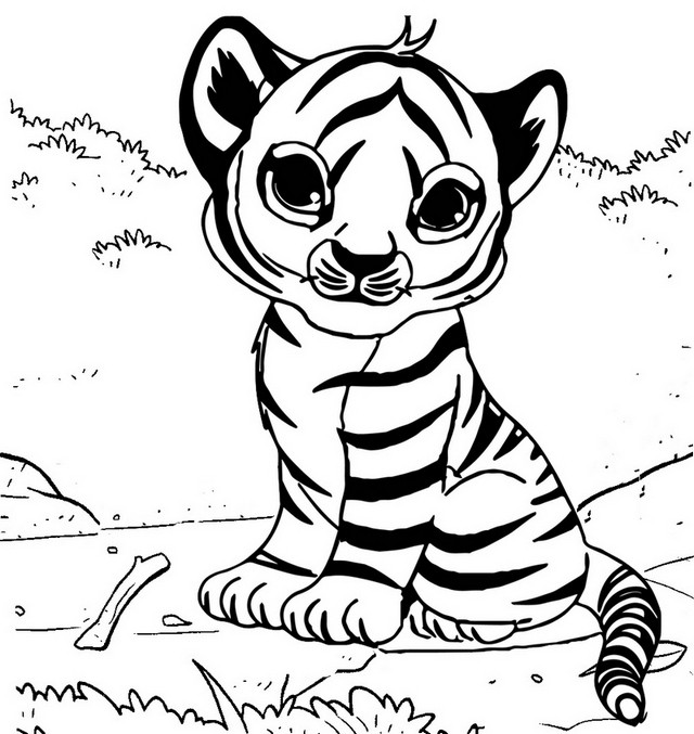 Cute Baby Tiger Coloring Pages
 cute baby tiger coloring page