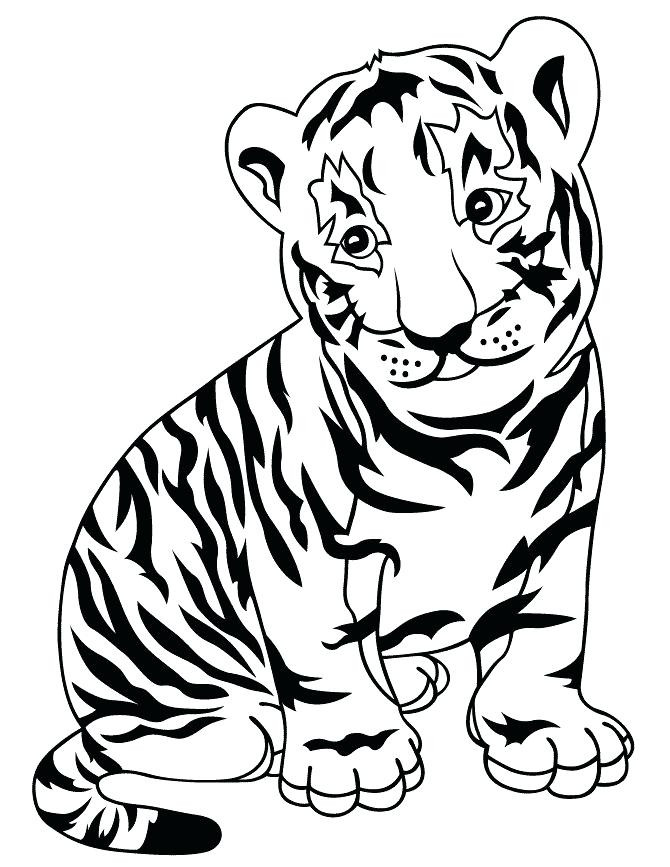 Cute Baby Tiger Coloring Pages
 Drawing Tiger at GetDrawings