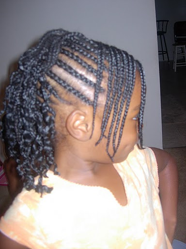Cute Braided Hairstyles For Black Womens
 braided hairstyle African American little girls