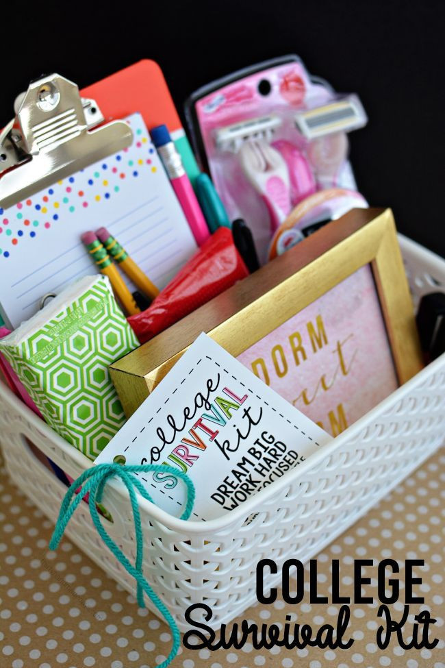 Cute Gift Basket Ideas For Friends
 College Survival Kit with Printables