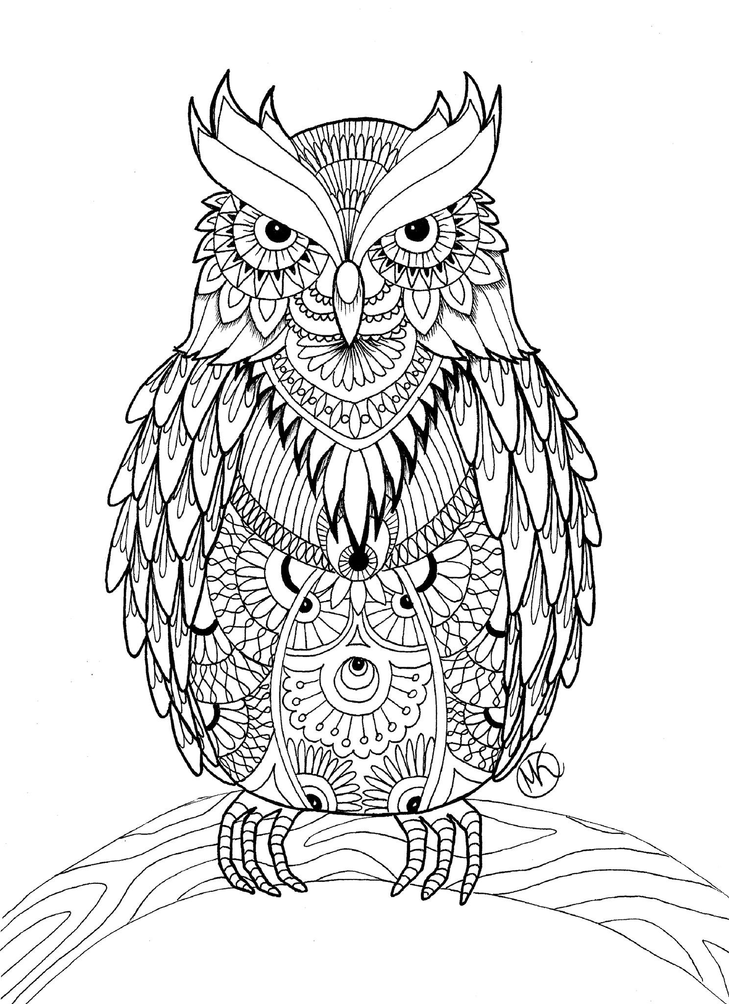 Detailed Coloring Books For Adults
 OWL Coloring Pages for Adults Free Detailed Owl Coloring