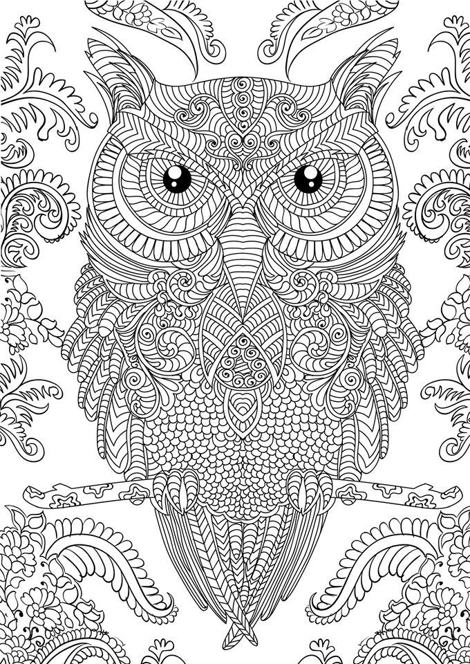 Detailed Coloring Books For Adults
 OWL Coloring Pages for Adults Free Detailed Owl Coloring