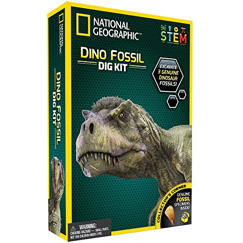 Dinosaur Gifts For Kids
 Dinosaur Gifts For Kids Amazon
