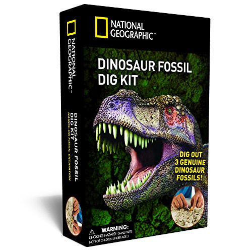 Dinosaur Gifts For Kids
 Dinosaur Gift for Kids Amazon