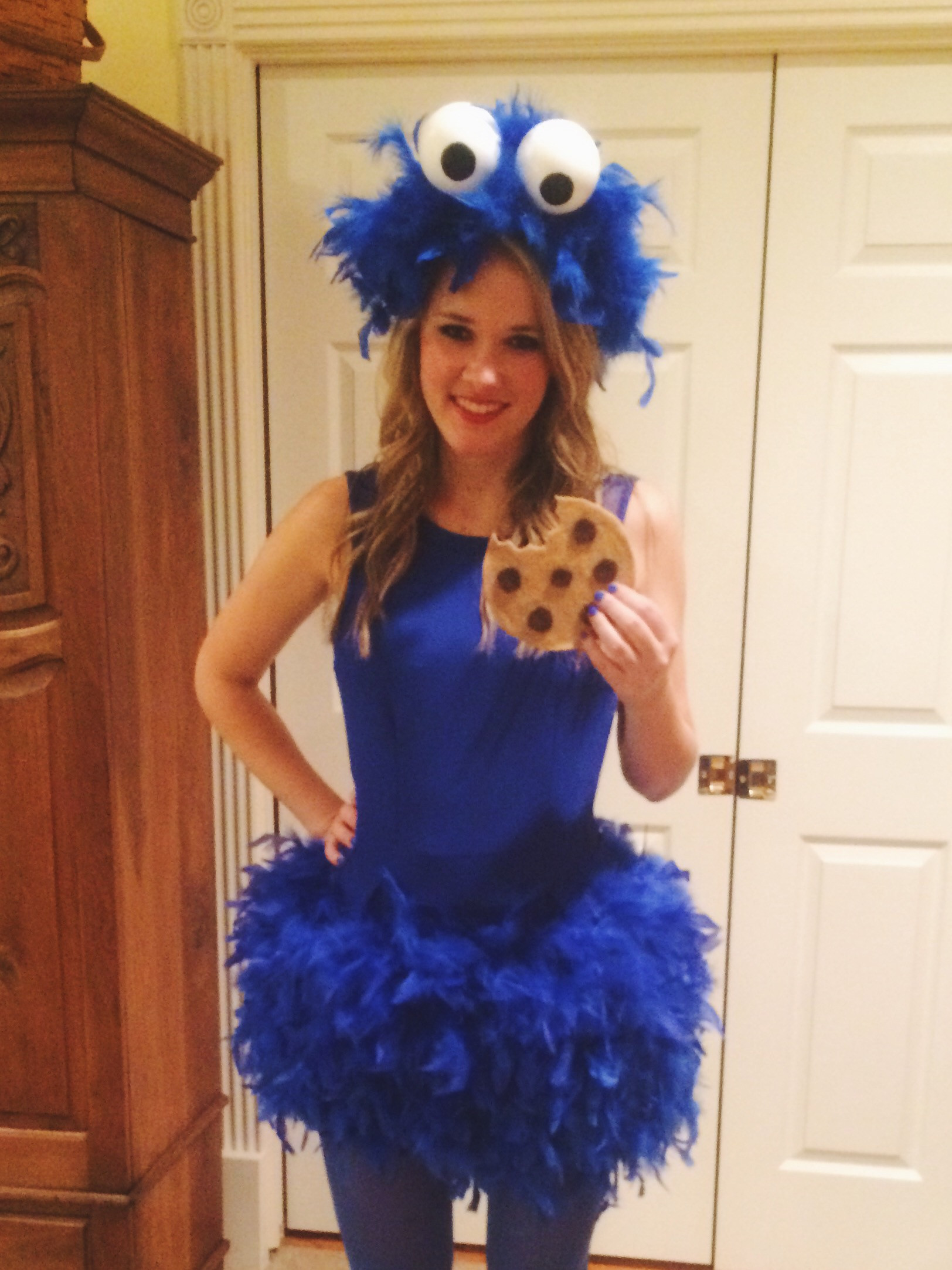 DIY Adult Costume
 Cookie Monster Dog Halloween Costume