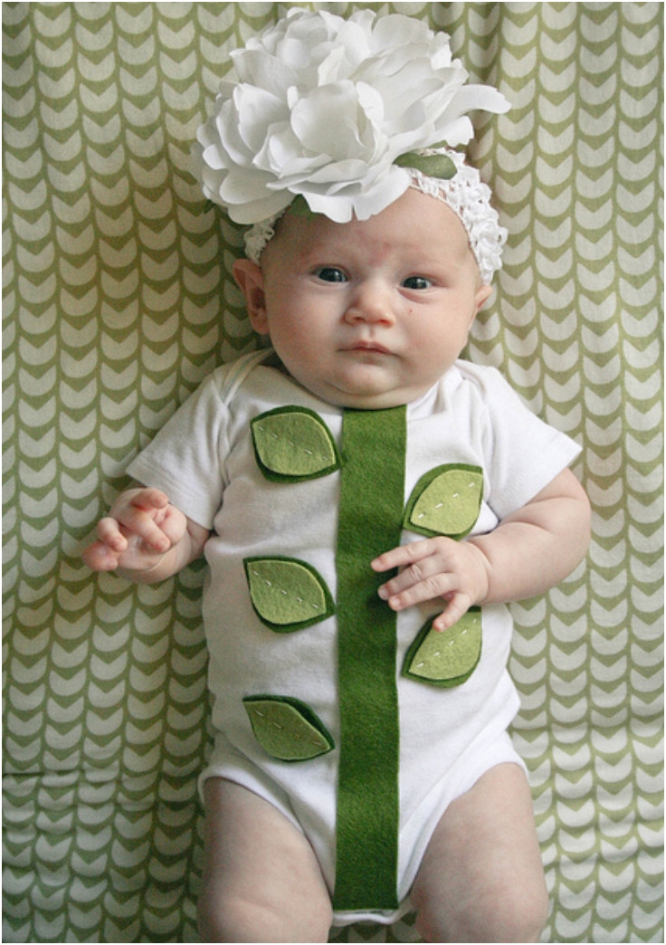 Diy Baby Girl Costumes
 Top 10 Adorable DIY Baby Costumes Top Inspired