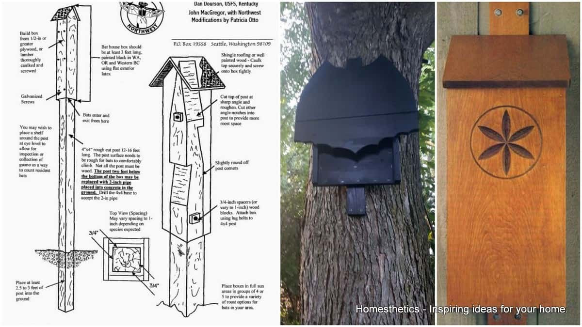DIY Bat House Plans
 39 FREE DIY Bat House Plans to Shelter the Natural Pest