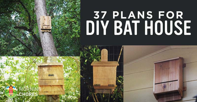 DIY Bat House Plans
 37 Free DIY Bat House Plans that Will Attract the Natural