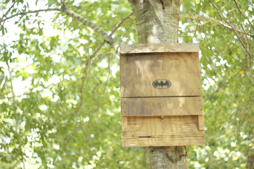 DIY Bat House Plans
 Free Bat House Plans Do It Yourself Plans DIY Free