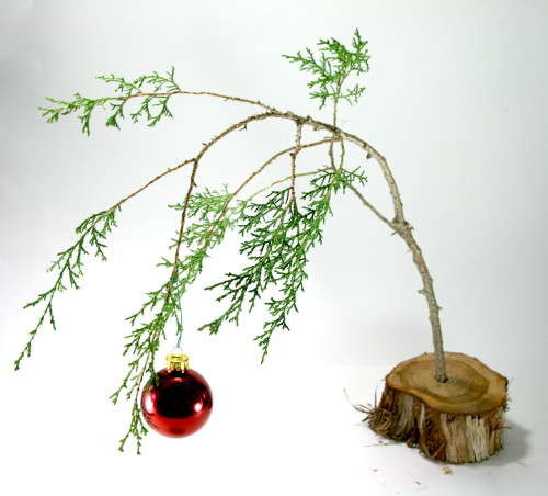 DIY Charlie Brown Christmas Tree
 lucy violet vintage Christmas Tree Stripped Bare