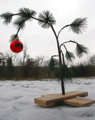 DIY Charlie Brown Christmas Tree
 Make a Scrawny Charlie Brown Christmas Tree
