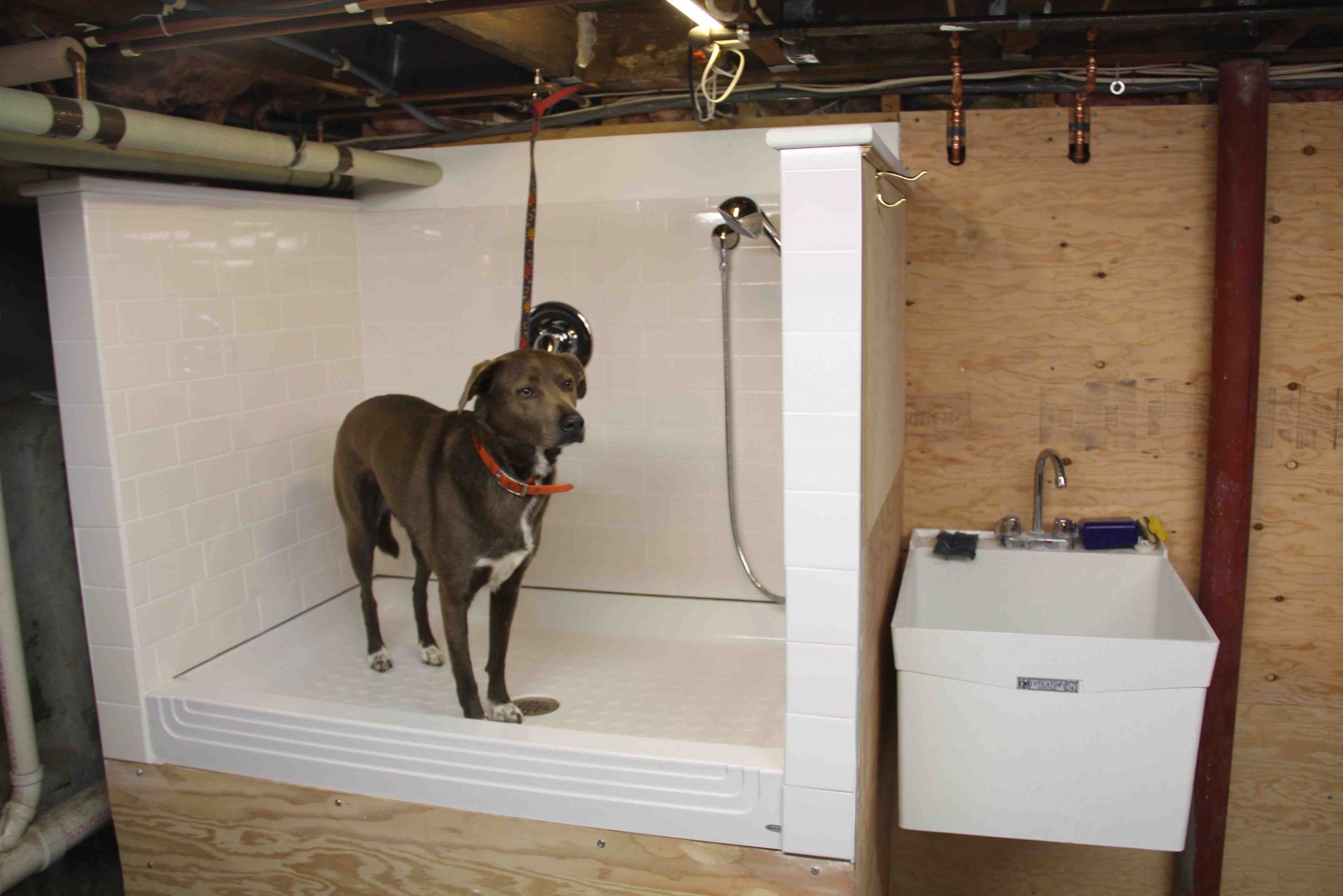 22 Best Ideas Diy Dog Bath Tub - Home, Family, Style and Art Ideas