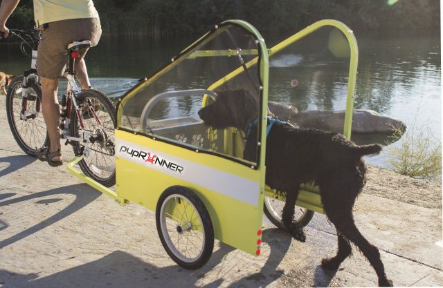 DIY Dog Bike Trailer
 Run & Ride Bike Trailer for Dogs The Safe Way to Bike