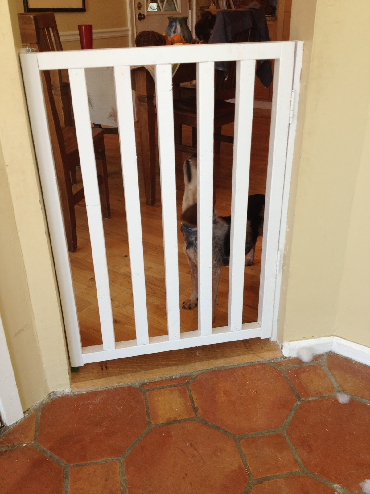 DIY Dog Gates
 Boxy Colonial Weekend project 2 revealed DIY wooden