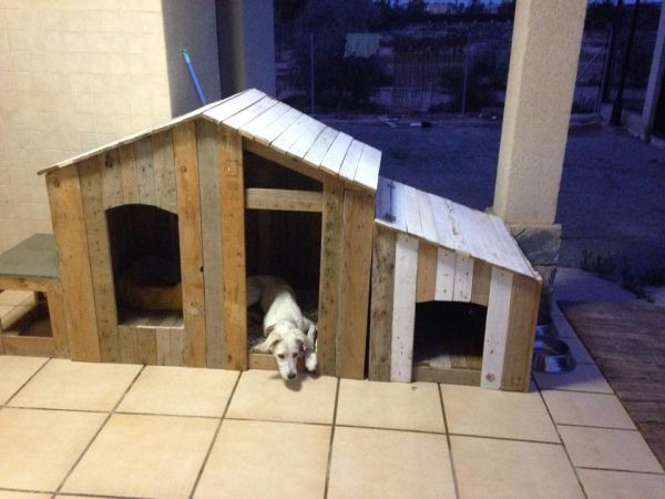 DIY Dog House Ideas
 36 Free DIY Dog House Plans & Ideas for Your Furry Friend