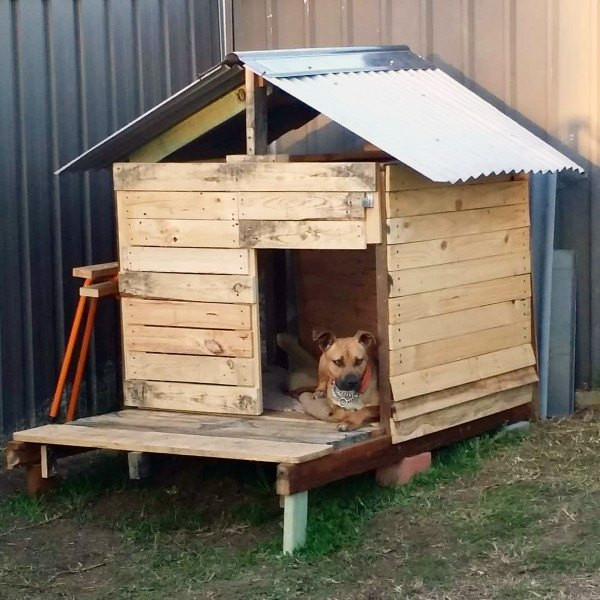 DIY Dog House Ideas
 Top 60 Best Dog House Ideas Barkitecture Designs
