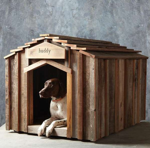 DIY Dog Kennel
 DIY Indoor Dog Kennel