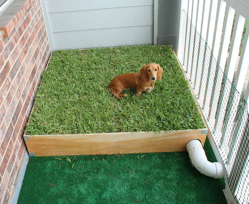 DIY Dog Porch Potty
 14 DIY Dog Porch Potty & Grass Box Projects