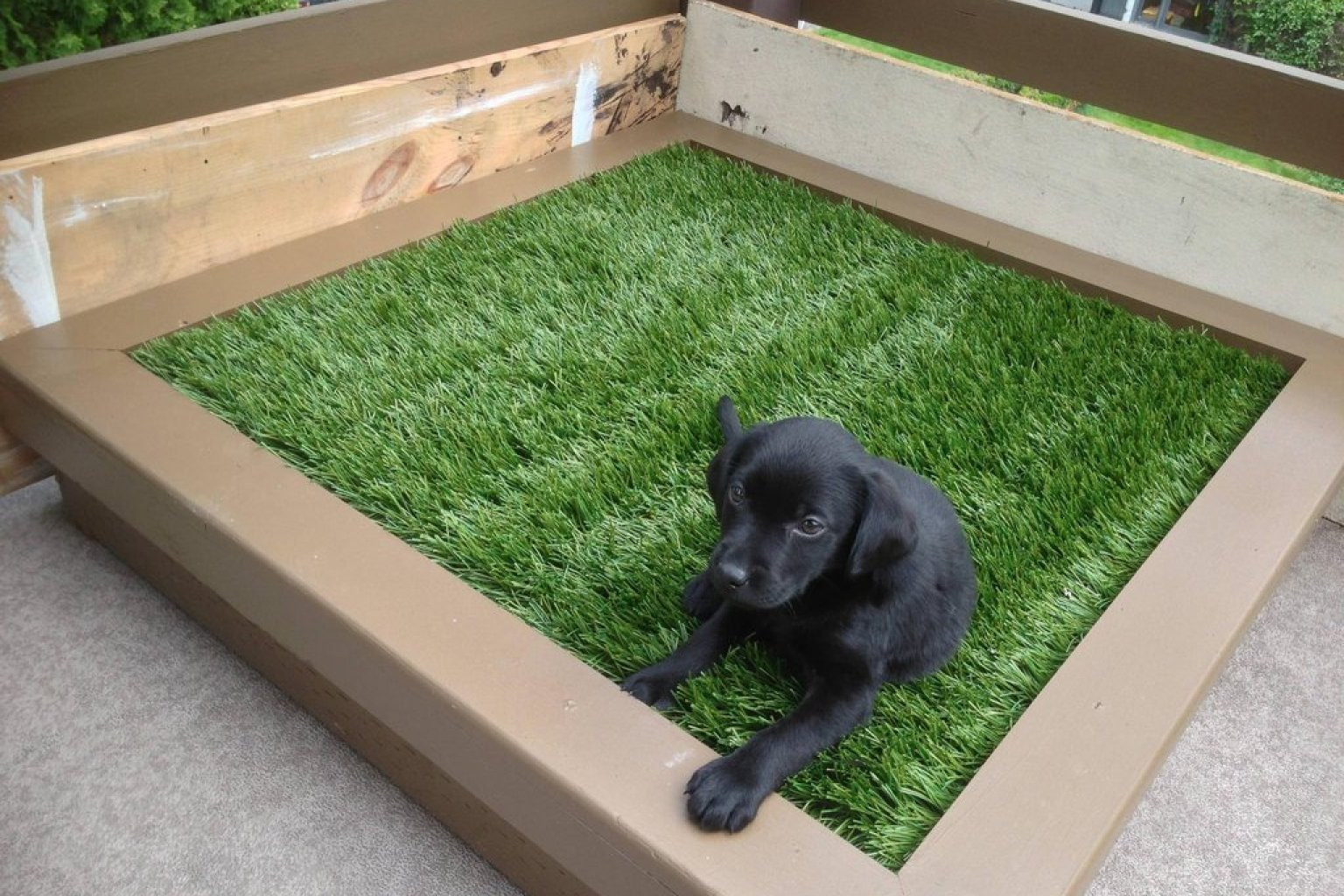 DIY Dog Porch Potty
 DIY Porch Potty Is The Ultimate Solution For City Dogs