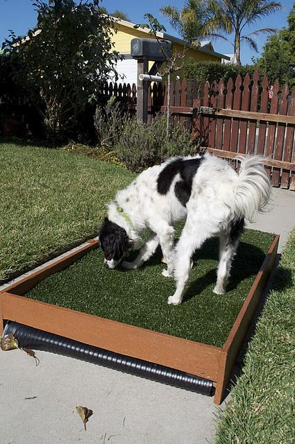 DIY Dog Porch Potty
 DIY Dog Patio Potty that drains for cleaning Perfect