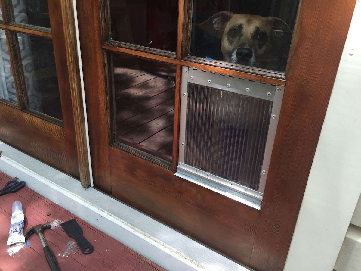 DIY Doggie Door
 DIY dog door for french door window panes howchoo