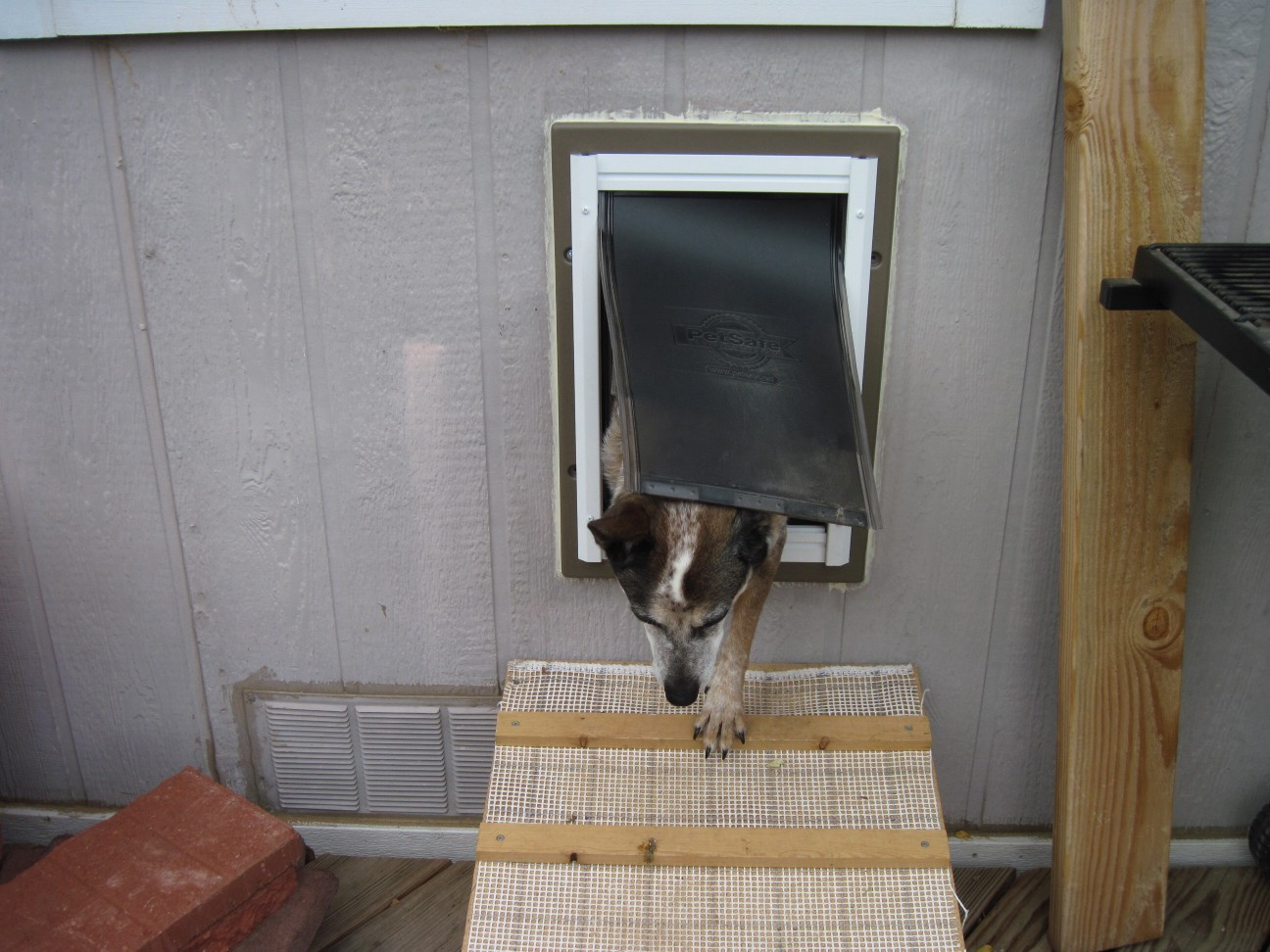 DIY Doggie Door
 DIY 1a add ramp to doggie door