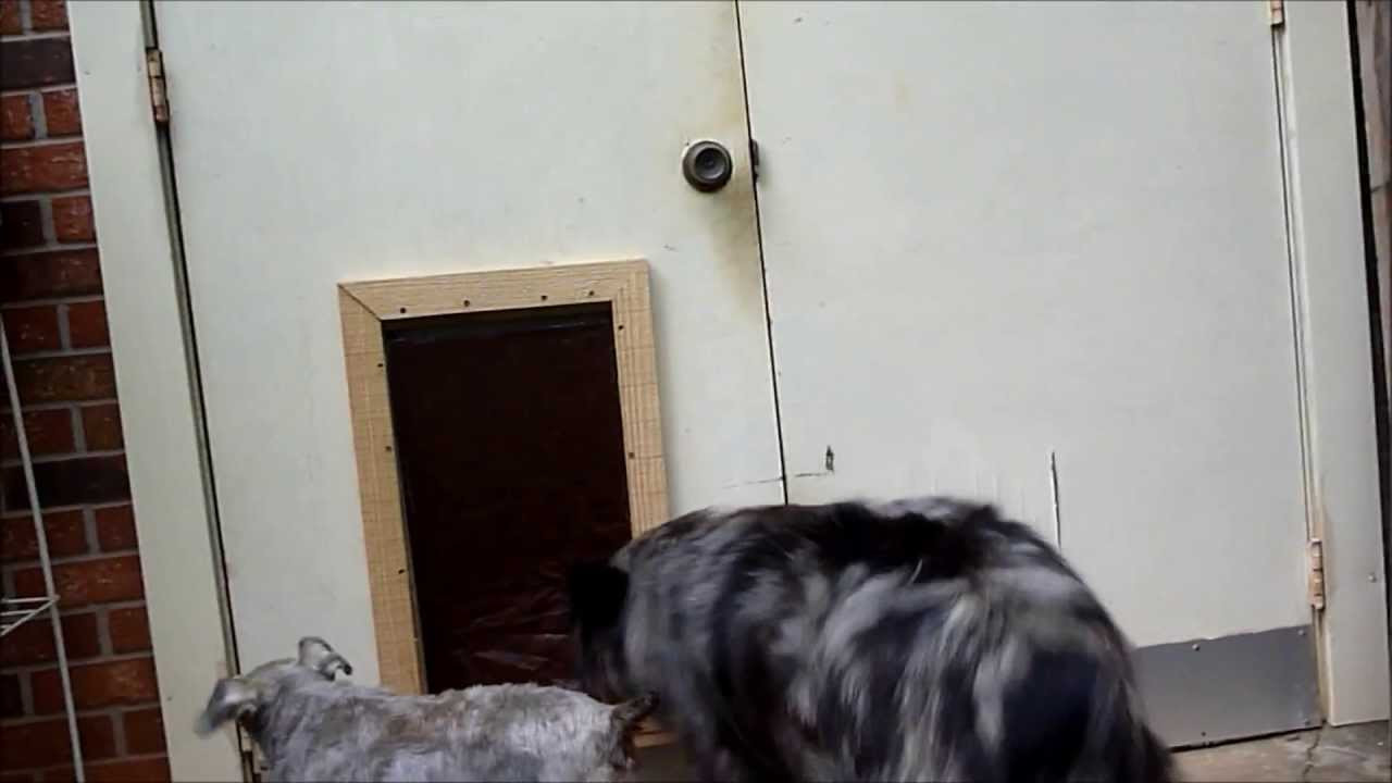 DIY Doggie Door
 Homemade Doggie Door Not A Tutorial