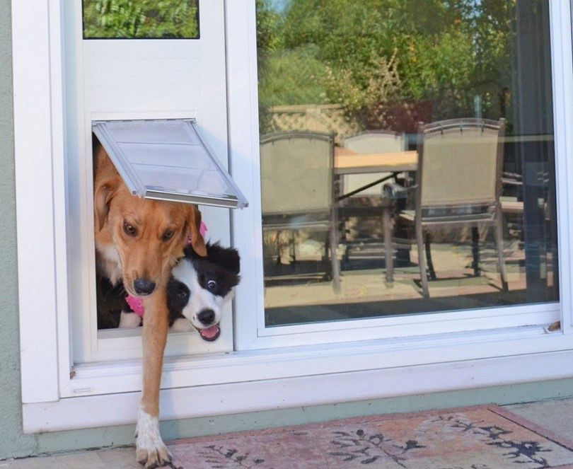DIY Doggie Door
 How to Install A Doggie Door Instructions And DIY Ideas