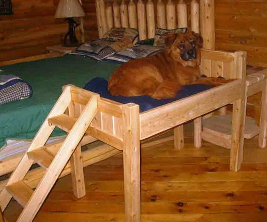 DIY Elevated Dog Bed
 Raised Dog Bed With Stairs DIY Raised Dog Bed With Stairs