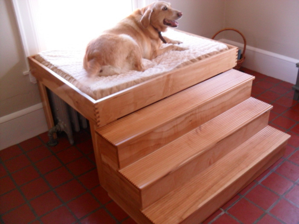 DIY Elevated Dog Bed
 Elevated Dog Bed With Stairs Innovative Elevated Dog
