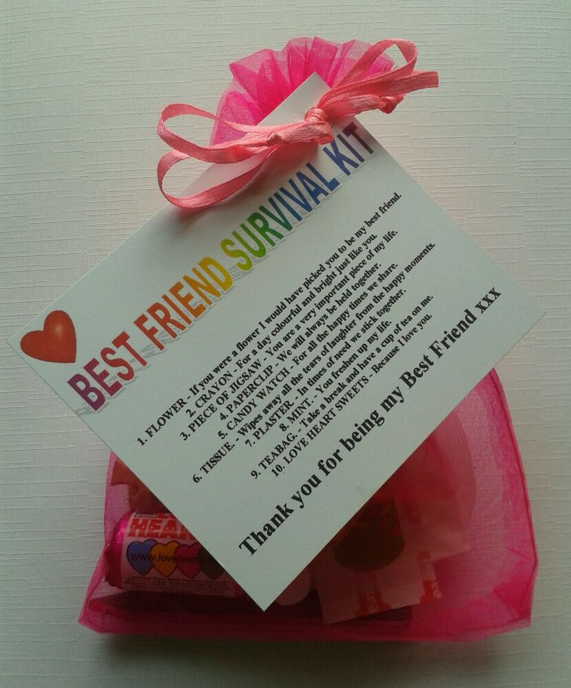 Diy Gift Ideas For Best Friends
 BEST FRIEND Survival Kit Birthday Keepsake Gift Present
