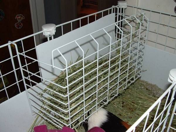 DIY Guinea Pig Hay Rack
 93 best Spoiled Rabbit images on Pinterest