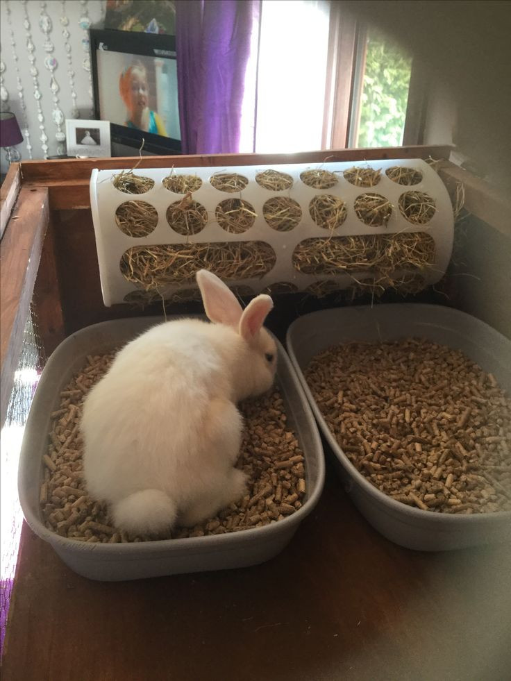 DIY Guinea Pig Hay Rack
 Rabbit litter tray and hay feeder diy ikea