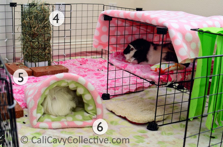 DIY Guinea Pig Hay Rack
 Cali Cavy Collective a blog about all things guinea pig
