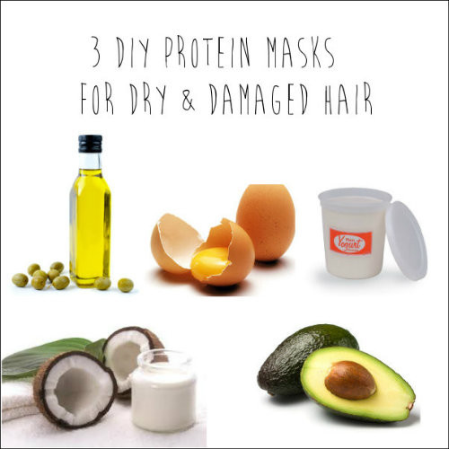 DIY Hair Masks For Dry Hair
 3 DIY Protein Masks for Dry & Damaged Hair