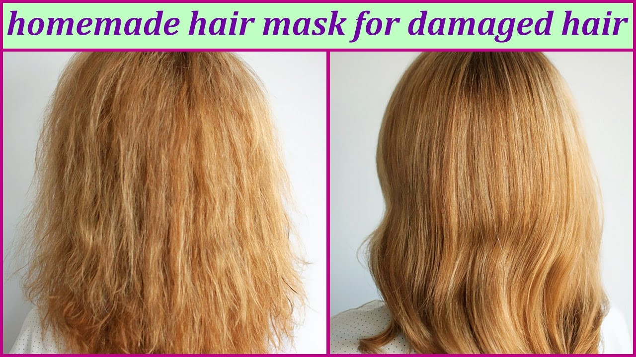DIY Hair Masks For Dry Hair
 Homemade Hair Mask For Damaged Hair