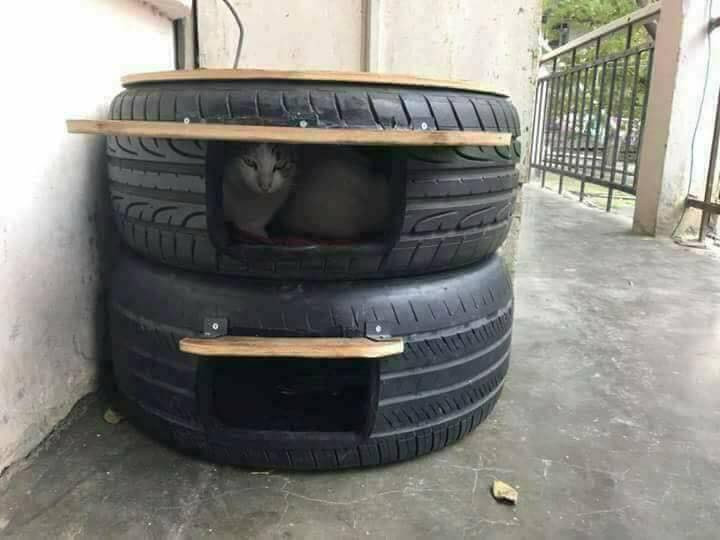 DIY Outdoor Cat Shelter
 DIY Outdoor Cat Shelters For The Cold Season