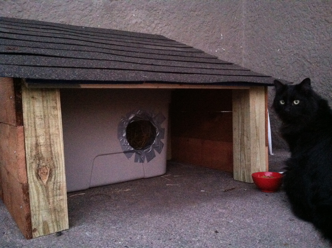 DIY Outdoor Cat Shelter
 SINNEMOTA Outdoor cat shelter